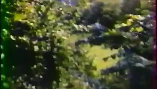 Ahlaksızlık Soruşturması (1977)