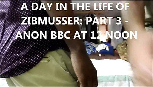 Asker zibmusser bbc tarafından yetiştirildi