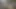 Sevimli popo korsanlar seksi bir dörtlü var