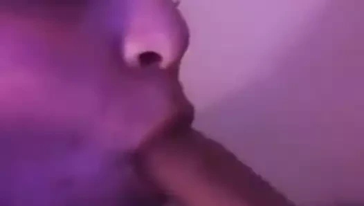 hamile Latin verir bj