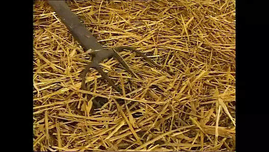 Grosso e Puttane! (Full Movie)