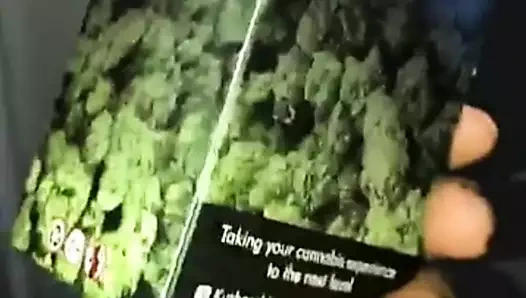 Anlık haritalarda #11 bulunan çıplaklar