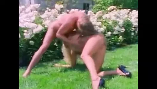 debi elmas bağbozumu