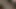Ateşli kızlar birlikte büyük bir dildoya binerken inliyor