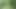 Spaziergang im Wald
