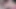 Pinkvibrator