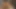 Gözlüklü şehvetli esmer orta yaşlı seksi kadın komşunun mutfağında baştan çıkarıyor