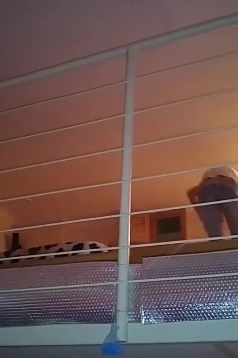 Gina Gerson ve Cassie Fire mugurporn ile unutulmaz üçlü seks