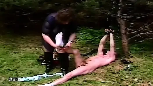 Açık havada tıraş hakimiyeti