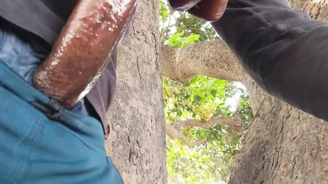 Desi village boy bast hasthmathun with oil