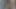 Dev ayak masajı istiyor