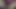 Vid