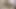 dev göğüsleri ve areolas ile iki dolgunlaştırıcı