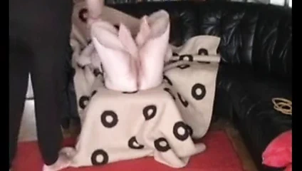 ceza için anal domuzcuk