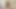 Sıska Filipinli'nin küçük memeli kız kardeşi camming1