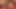Harika sarkık büyük memeli seksi amatör evli kadın