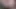 Am yalama, oral seks, taşak yalama, köpek, kedi takası, vücuda boşalma - ffm üçlü amatör mybestgf