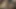 Dövmeli esmer travesti emiliyor ve sikiliyor