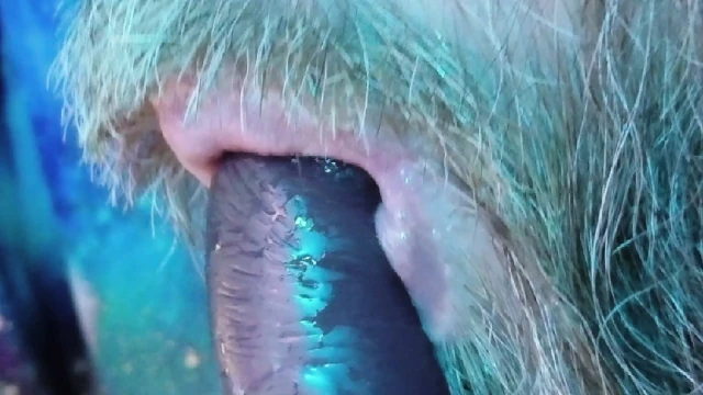 Daddy Learns To Suck Dick Part 2
