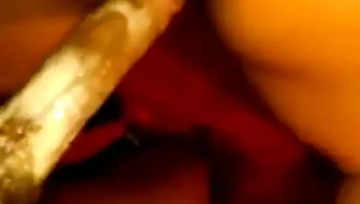 Kremsi kedi üzerinde büyük siyah horoz