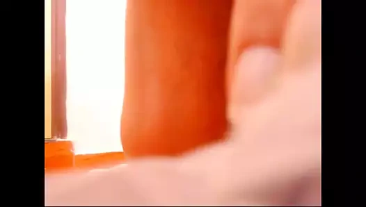 Kremsi kedi Latin fışkırtma 2