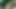 Güzel Olgunları Aletimi Emmeye Baştan Çıkarıyorum