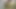 Hintli evli kadın sari içinde sikiliyor