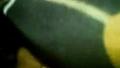 Çift malayca eğleniyor