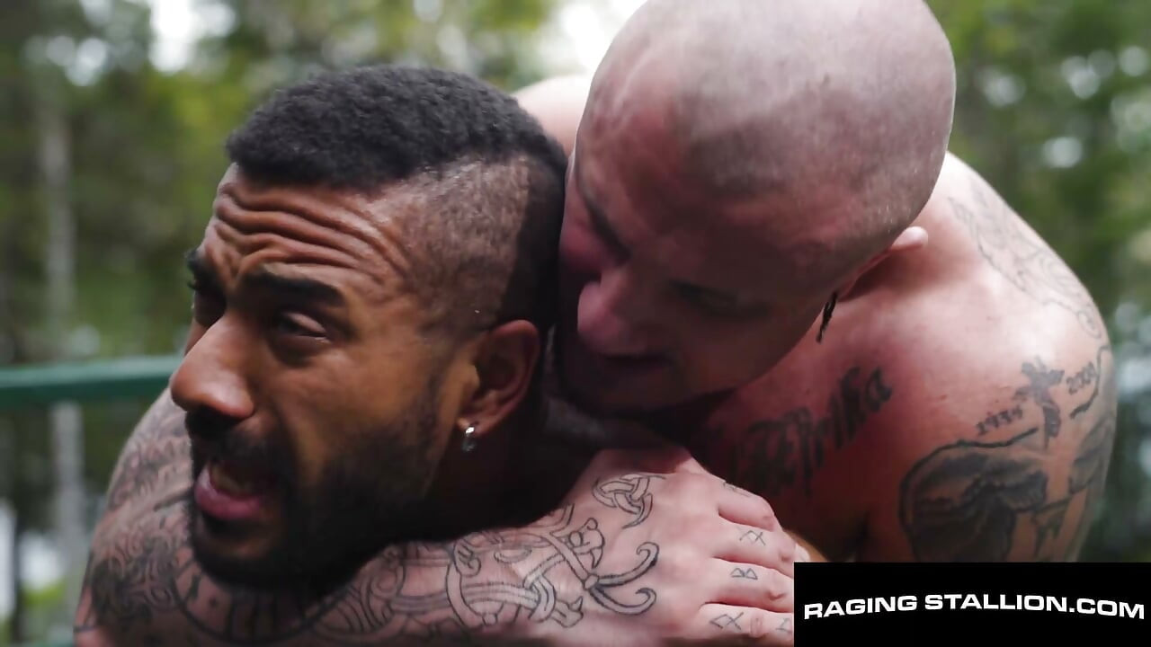 RAGING STALLION - Dövmeli Kaslı Crush Daddy Derlemesi ft Drerek Kage, Health Halo & DAHA FAZLASI!!