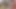 Kamera arkası iç çamaşırı büyük dildo ile azdırıyor anal oyun solo bts