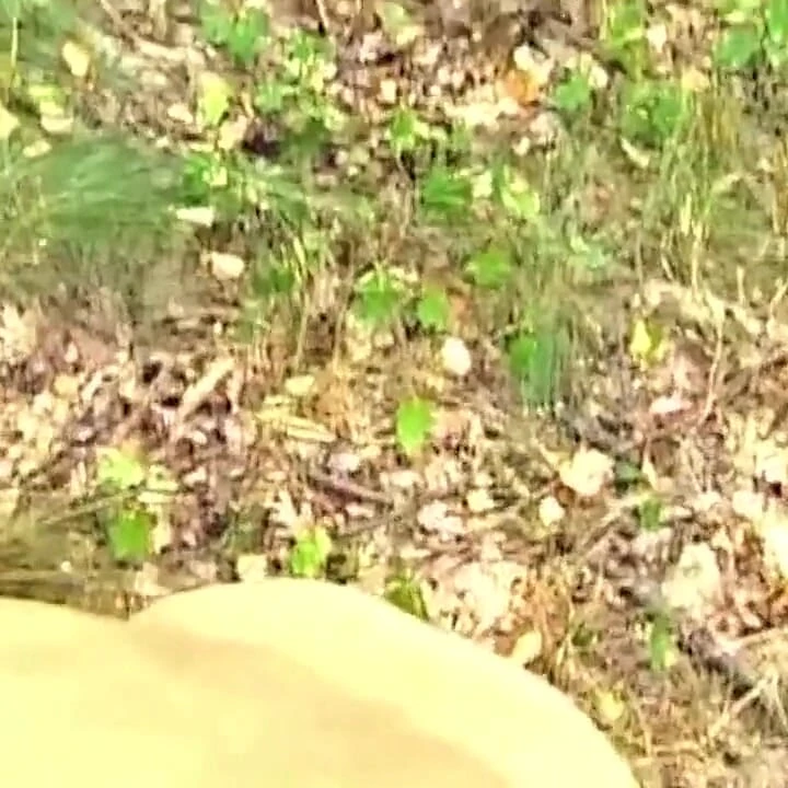 Olgun esmer kadın ormanda amını damlatıyor
