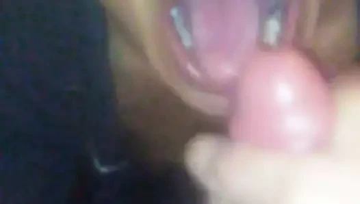 Stickyslut : Horoz emen bir sürtük. bu benim.