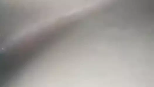 Yakın çekim yalama sıkı kedi