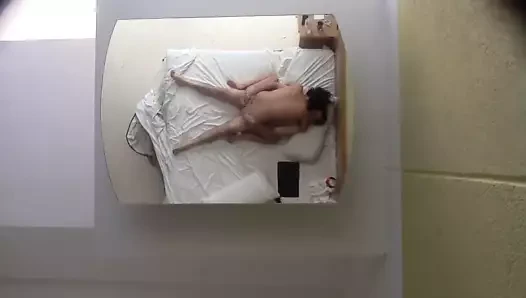 amatör amatör