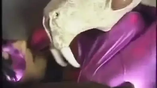 Daredoll pinx ve vore yılanı