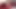 PORNSTARPLATINUM. Hatun göt ve amcık için oyuncaklar ve nesneler kullanıyor