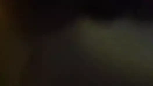 köpek