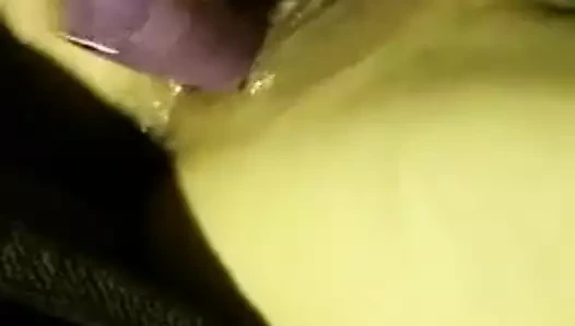 kahrolası benim Asya KEDİ 3
