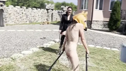 Midilli kız kırbaçlanıyor, sağılıyor ve sert yaralanıyor - aşırı lezbiyen midilli eğitimi