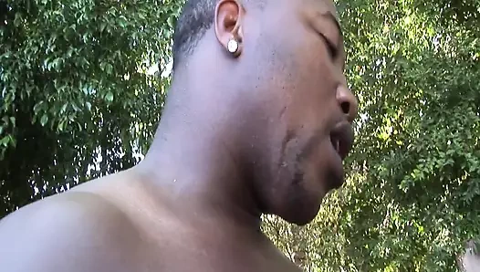 Bu zenci sürtükler büyük zenci yarağıyla başa çıkabilir mi?