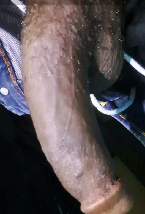 Büyük siyah yarak. Sert siyah penis uzun ve şişman