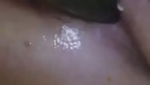 Salatalık çok ıslak kedi içine sokuldu