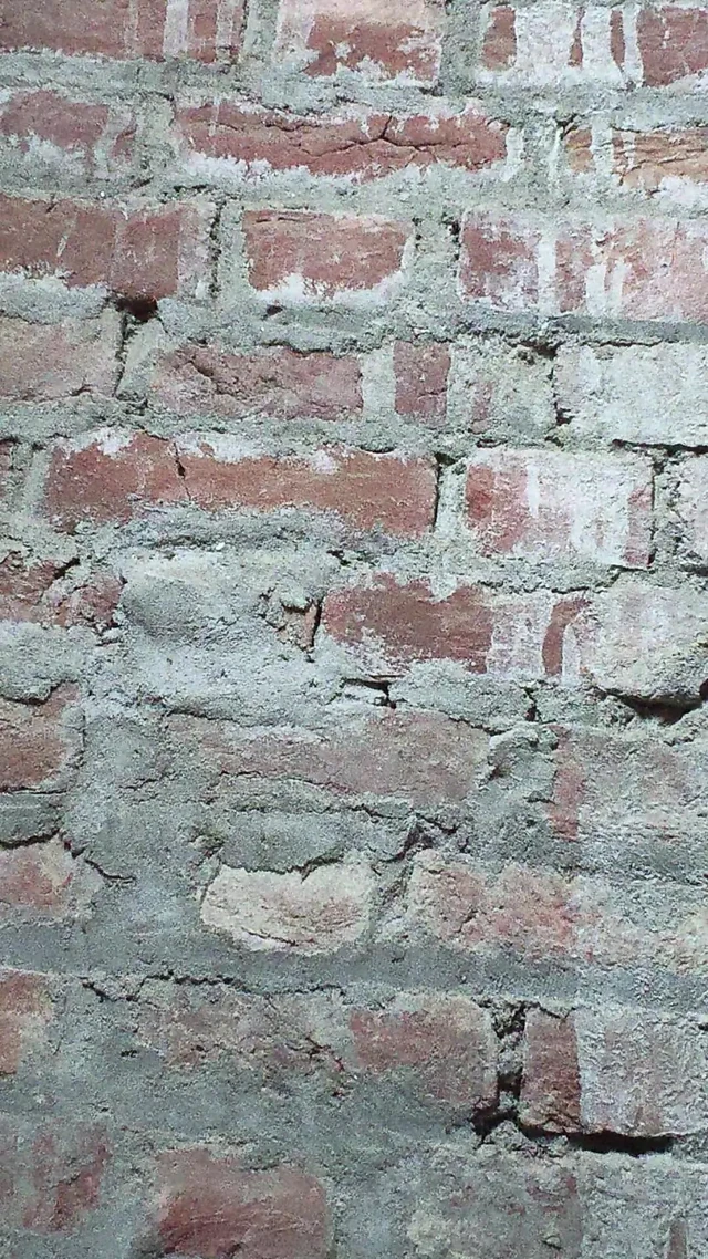 Seksi video