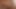 Dik iri parça emme büyük tranny horoz