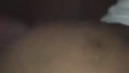 ıslak krem ​​siyah KEDİ