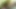Zelda efsanesi vahşi porno parodi nefesi cosplay norah nova ile taşak ezme fragmanı
