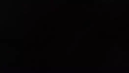 Şişman beyaz kedi Başlarken becerdin tarafından bir bbc