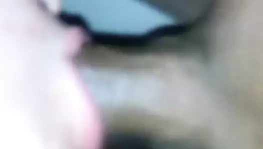 Sikfuks