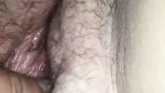 Şişman kedi becerdin