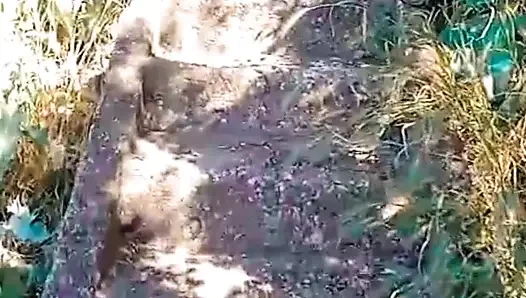 WillyAlexandruPetre videosu